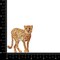 Cheetah, Big Cat, Realistic Animals, Embroidered Iron on Patch